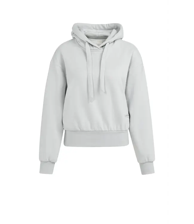 01-119107-602/44203  Hoodie met trekkoorden