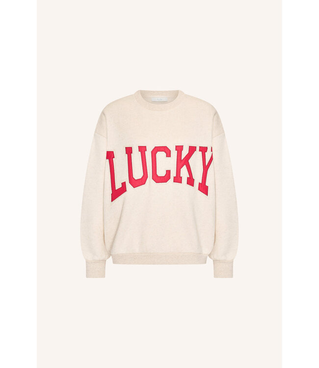 26218903/OysterMelee  bibi lucky patchwork sweater