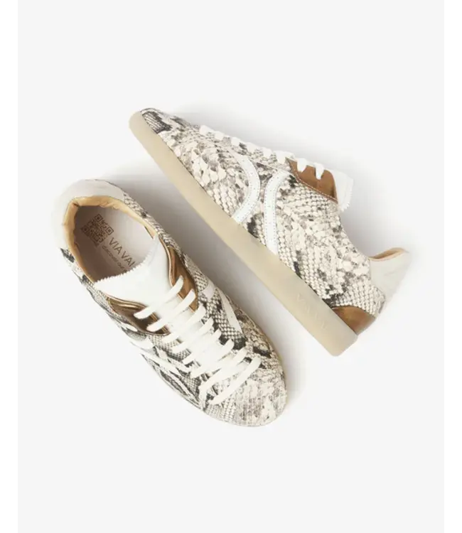 62394-03-204  Nilla Khloe Cobra - Roccia Sneakers