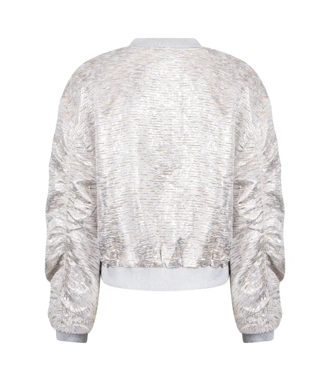 NKS13096-SIlver/Camel  Babette Bomber