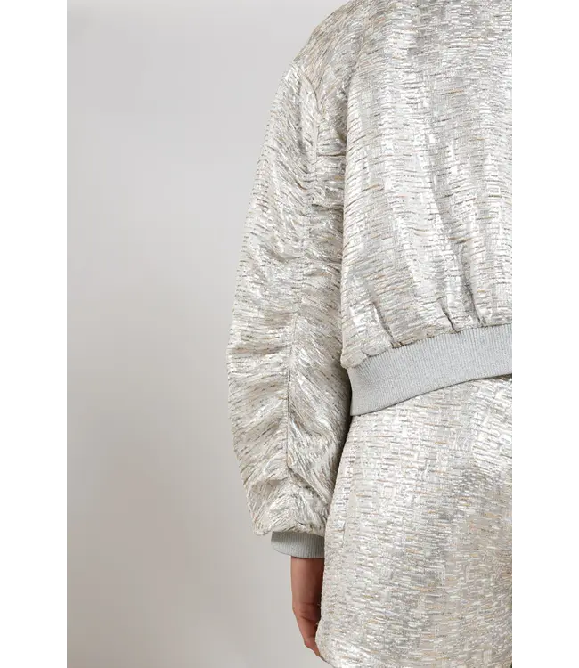 NKS13096-SIlver/Camel  Babette Bomber