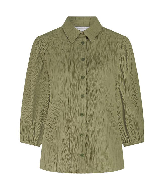 C30-19-301/006155-Aloe  Creased Puff-Sleeve Blouse