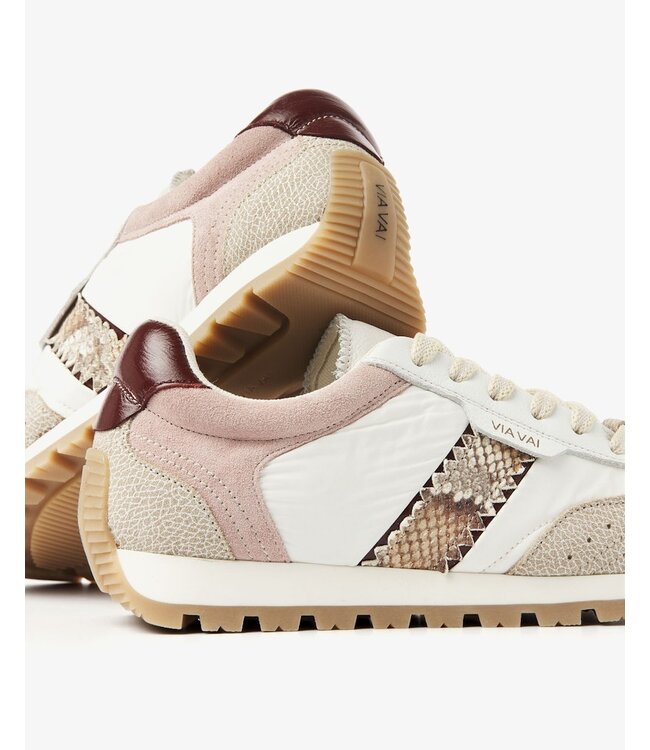 62399-02-308  Scott Sara Cobra - Cognac Sneakers