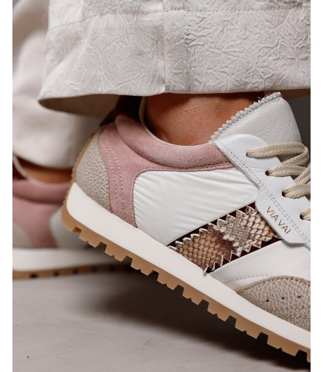 62399-02-308  Scott Sara Cobra - Cognac Sneakers