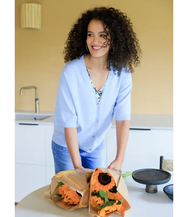 4200914/PowderBlue  Viviane Cover ups