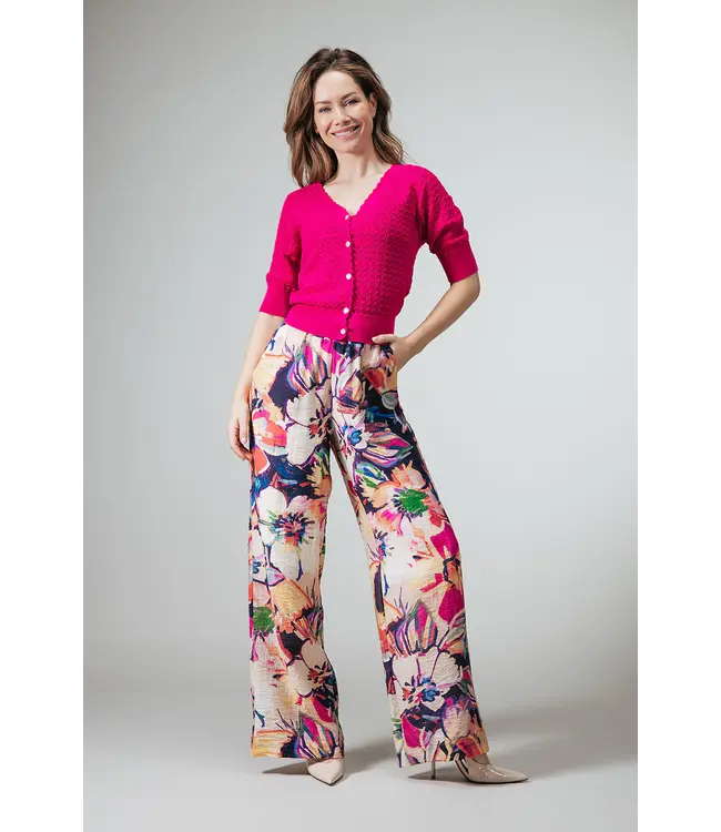 2618030/Blauwmulti  Renate