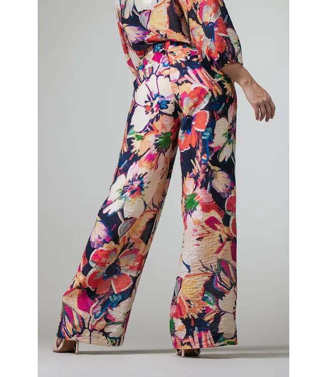 2618030/Blauwmulti  Renate