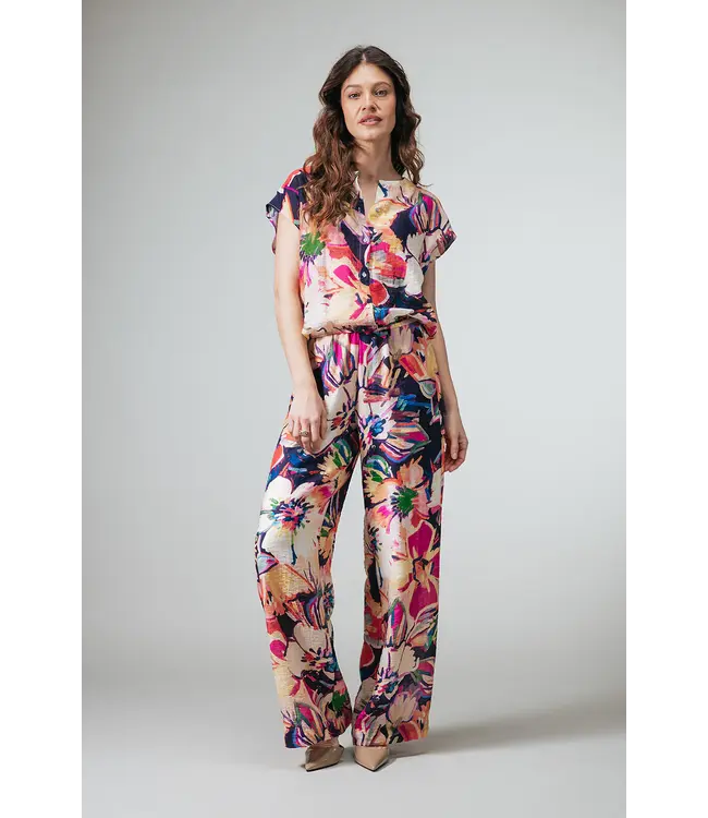 2611048/Blauwmulti  Agnes