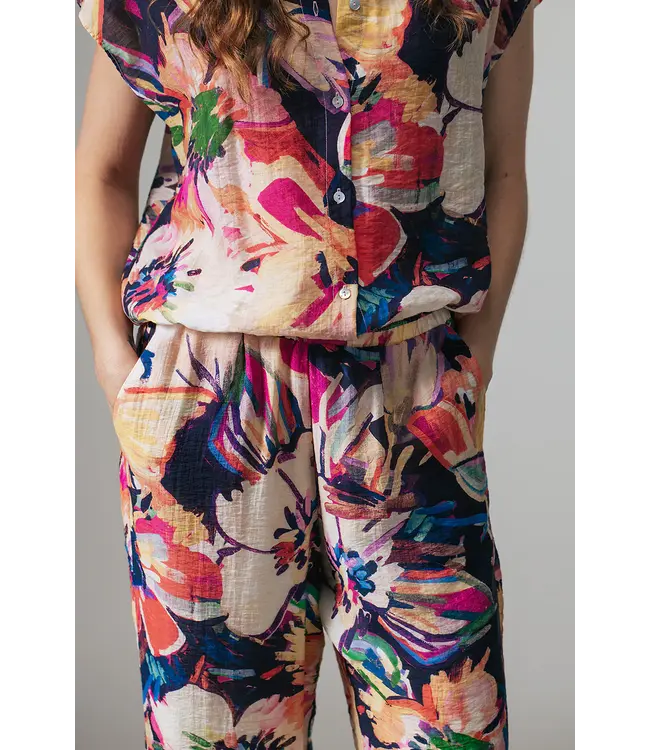 2611048/Blauwmulti  Agnes