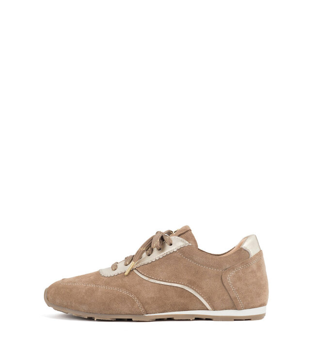 SHE-216 Sneaker Noce/Goud