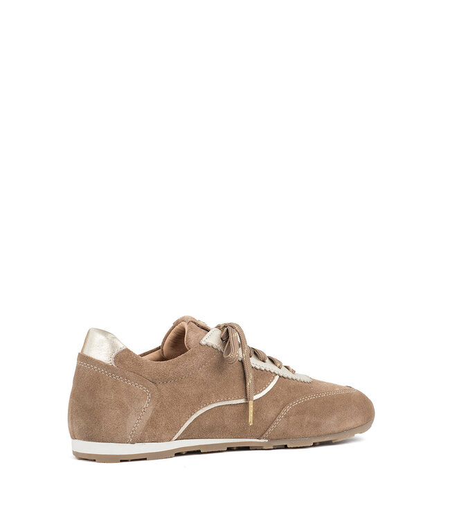 SHE-216 Sneaker Noce/Goud