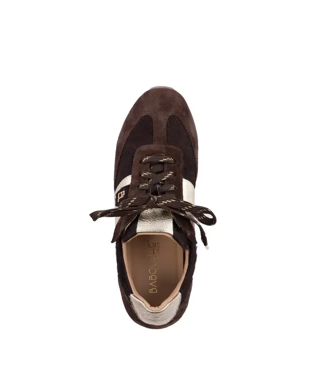 JAVA-212/DarkBrown-ChocolateGold
