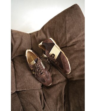 Babouche JAVA-212/DarkBrown-ChocolateGold