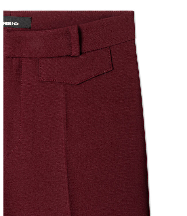 6316-0245/00-182  Famous pantalon TawnyPort