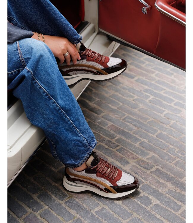 62478-01-1399  Usher Lott Avirex - Borgogna Sneakers
