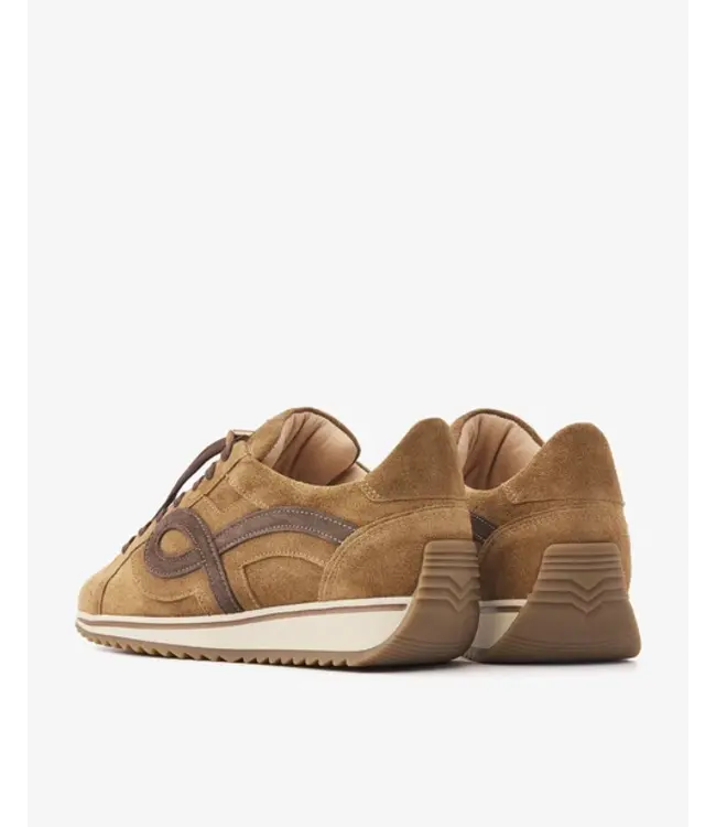 62471-02-1384  Mikki Eve Sierra - Quaglia Sneakers