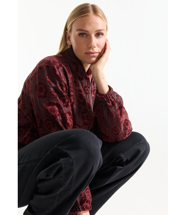 DAY-W26/000326-stonered  DAY JASJE vj 219 velvet jacquard zipper closure