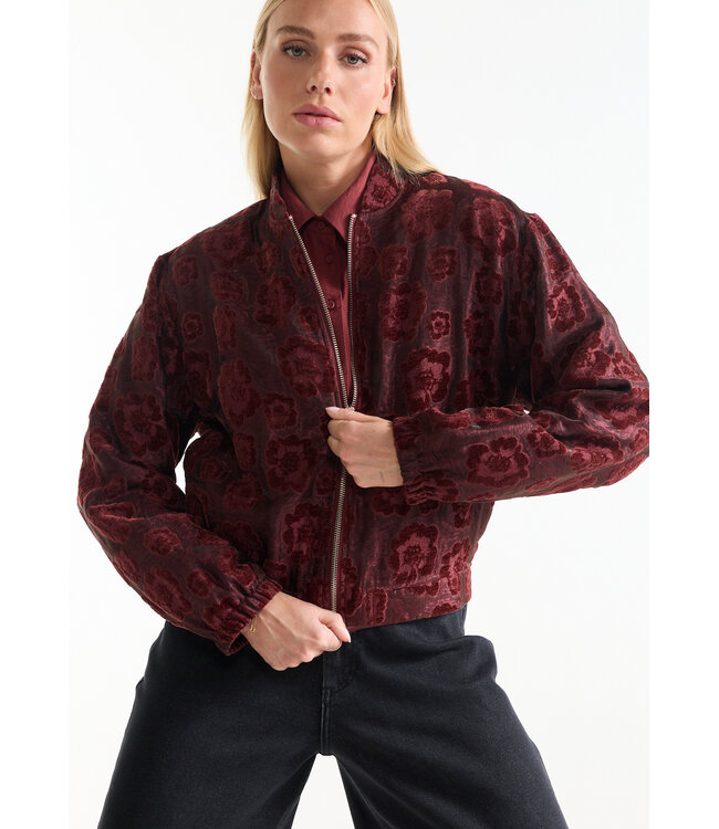 DAY-W26/000326-stonered  DAY JASJE vj 219 velvet jacquard zipper closure