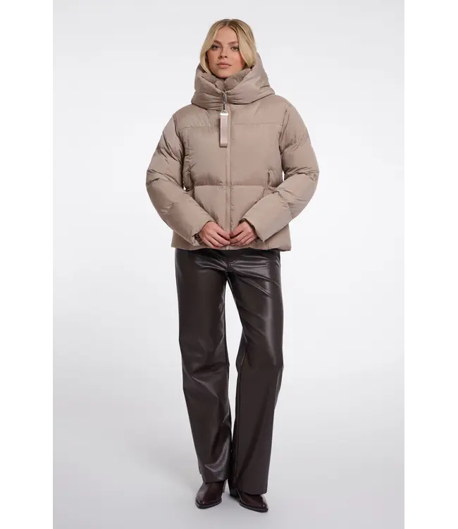 Joni.7002612/MochaLatte  Padded jacket with detachable collar