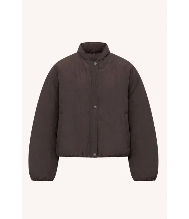 26419005/Espresso  bodie bomber jacket