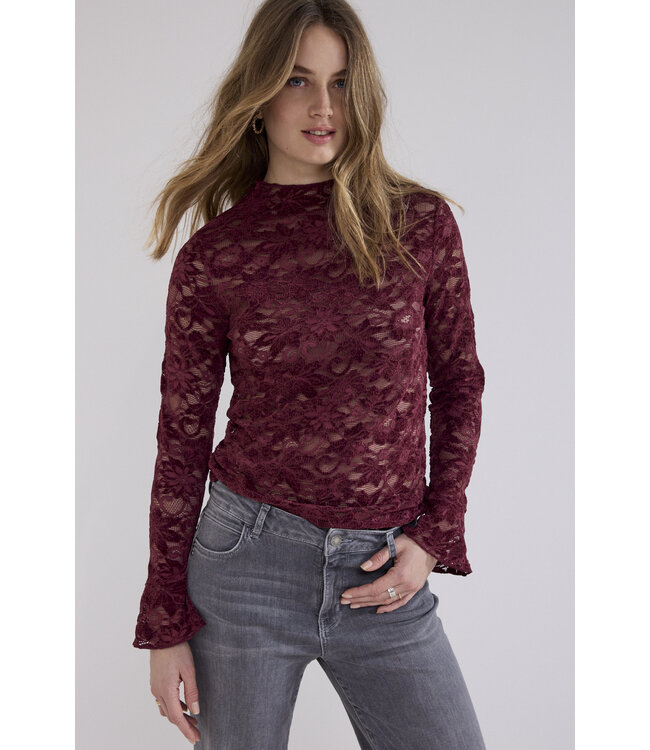 C65-21-401/004580-Pomegranate Velvet Stretch Lace Top