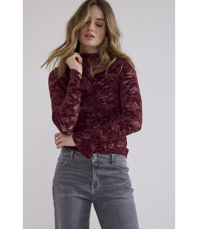 C65-21-401/004580-Pomegranate Velvet Stretch Lace Top