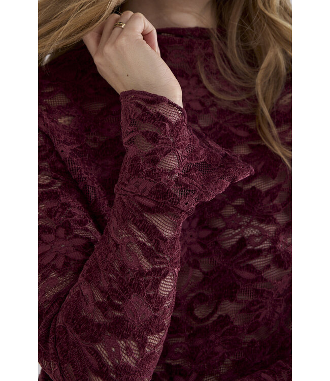 C65-21-401/004580-Pomegranate Velvet Stretch Lace Top