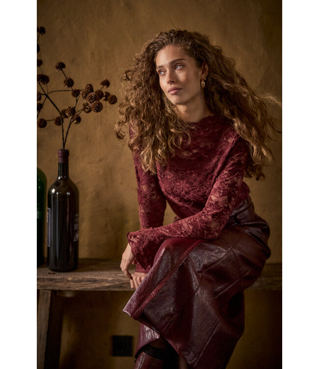 C65-21-401/004580-Pomegranate Velvet Stretch Lace Top
