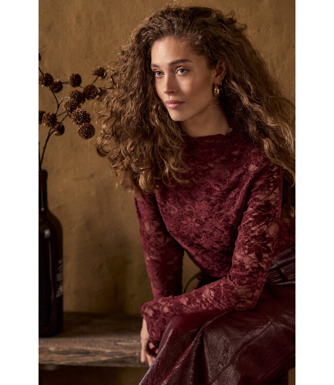 C65-21-401/004580-Pomegranate Velvet Stretch Lace Top