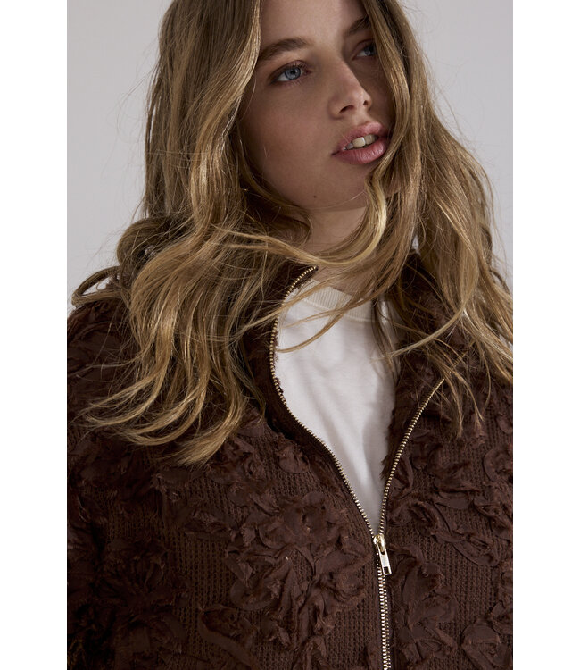 C39-21-801/002650-Chocolate Fancy Lace Jacket