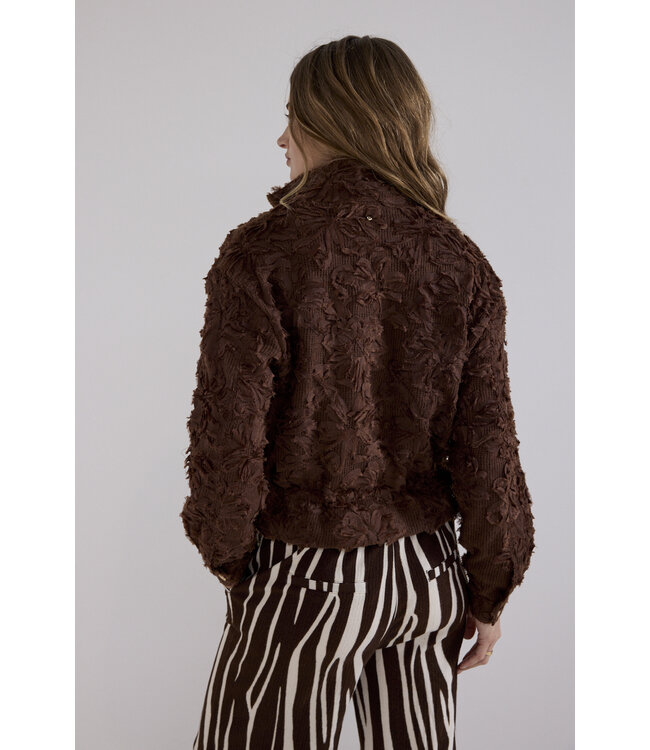 C39-21-801/002650-Chocolate Fancy Lace Jacket