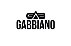 Gabbiano