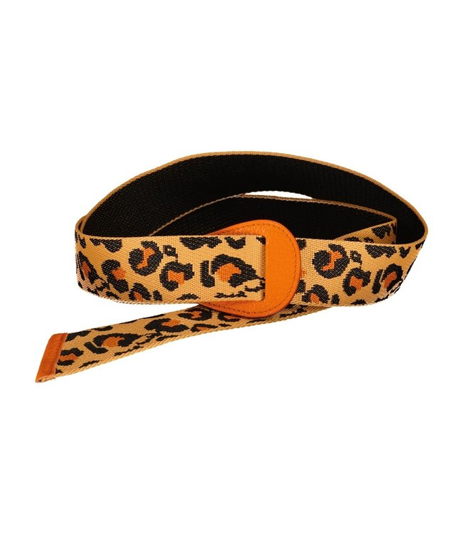 Belts Olivier 51S22