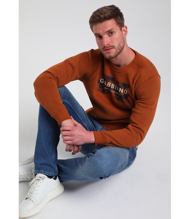 Gabbiano 774270 Sweater Logo