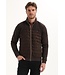 Gabbiano  425744 Vesten