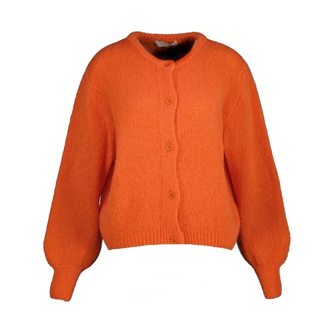 Amelie & Amelie Urbino A603-SET10 Gilets