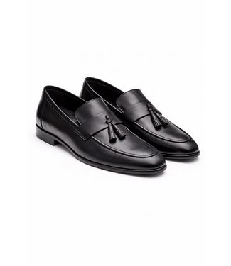 Dioza Loafers 2944