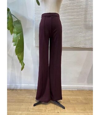 Ivivi H590 Broek