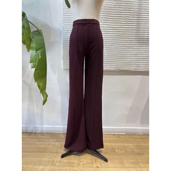 Ivivi H590 Broek