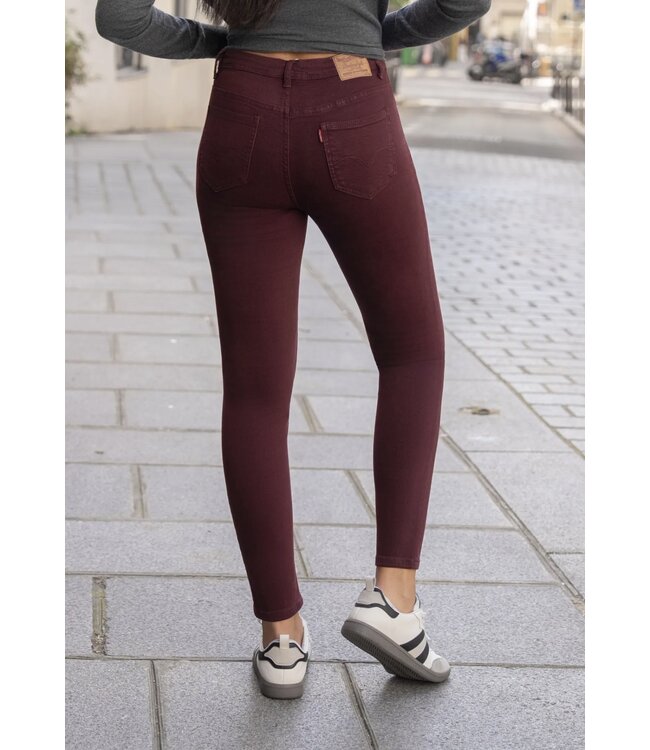 Miss Bon 78502 Broek