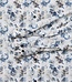Venti Venti Modern Fit 1610 Overhemd
