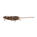 Savage Gear 3D RAD | Kunst rat | Floating Savage Gear 3D RAD | Kunst rat | Floating