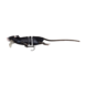 Savage Gear 3D RAD | Kunst rat | Floating Savage Gear 3D RAD | Kunst rat | Floating