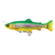 Savage Gear 4D Line Thru Pulse Tail Colorful Trout | Slow sinking Savage Gear 4D Line Thru Pulse Tail Colorful Trout | Slow sinking