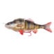 Savage Gear 4D Line Thru Perch | Slow Sinking Savage Gear 4D Line Thru Perch | Slow Sinking