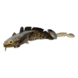 Savage Gear 3D Burbot Shallow | Slow Sinking Savage Gear 3D Burbot Shallow | Slow Sinking