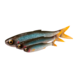 Savage Gear Craft Dying Minnow | 5 stuks Savage Gear Craft Dying Minnow | 5 stuks