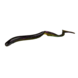 Savage Gear Razorback Worm | Sinking | 8 stuks Savage Gear Razorback Worm | Sinking | 8 stuks