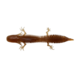 Savage Gear Ned Salamander | Floating | 5 stuks Savage Gear Ned Salamander | Floating | 5 stuks