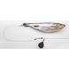 SPRO Dead Bait Bottom Rig SPRO Dead Bait Bottom Rig